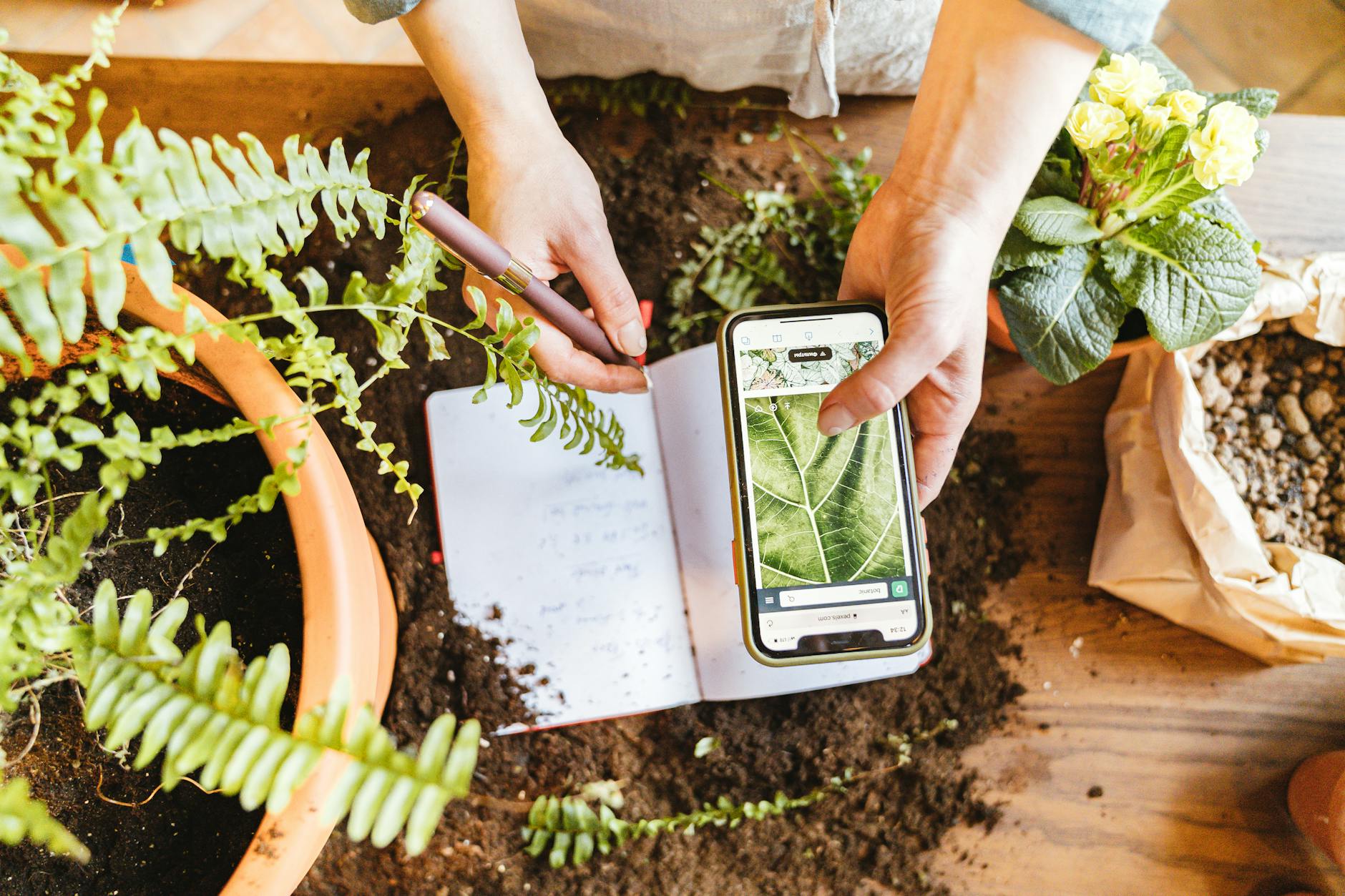 a person doing a research about plants